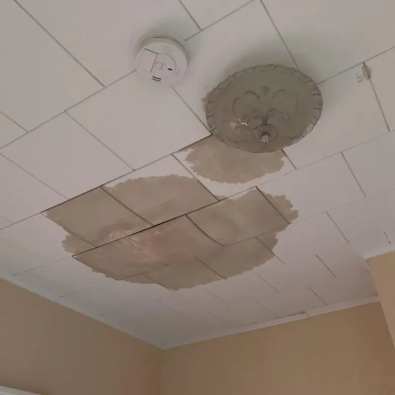 Ceiling Water Damage Repair in Lone Oak, TN