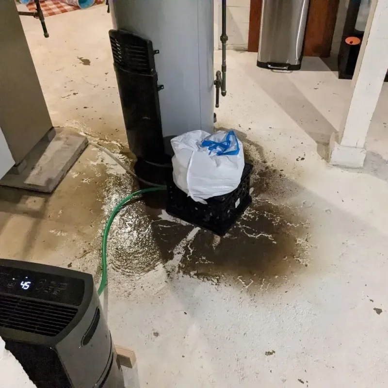 Sewage Backup Cleanup Service in Lone Oak, TN